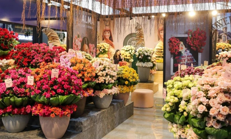 Estados Unidos es el principal país destino para algunos productos / Foto: EFE