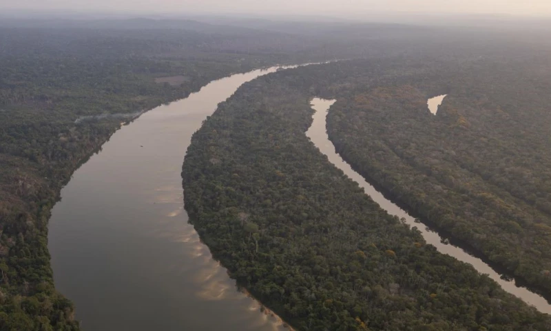 Los 400.000 dólares que acompañan al premio se destinarán a proyectos concretos en la Amazonía / Foto: EFE