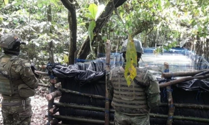 El operativo se llevó a cabo en la comunidad Nuevos Horizontes, cantón Shushufindi / Foto: cortesía Ejército ecuatoriano