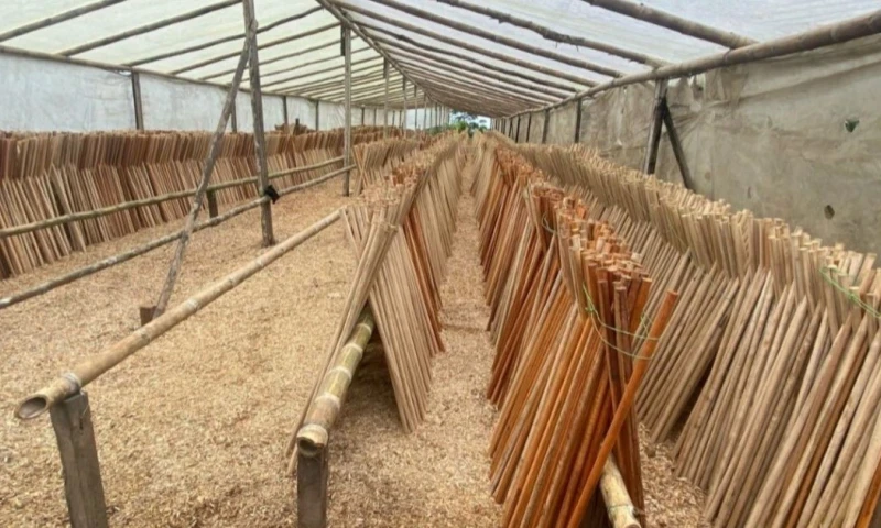 Los procesados tenían centros de acopio y de distribución en poblaciones de los departamentos de Putumayo y Nariño / Foto: cortesía Fiscalía Colombia