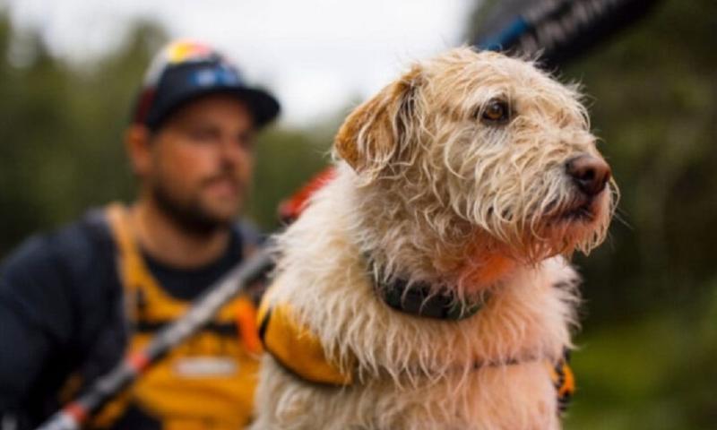 La película se estrenará el 22 de marzo de 2024 a nivel mundial / Foto: cortesía DolceVita