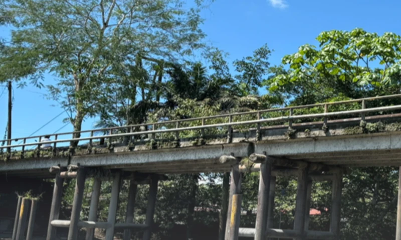 Las obras contemplan la edificación de los puentes sobre los ríos Shushufindi, La Norte y Quilindaña / Foto: cortesía MIT