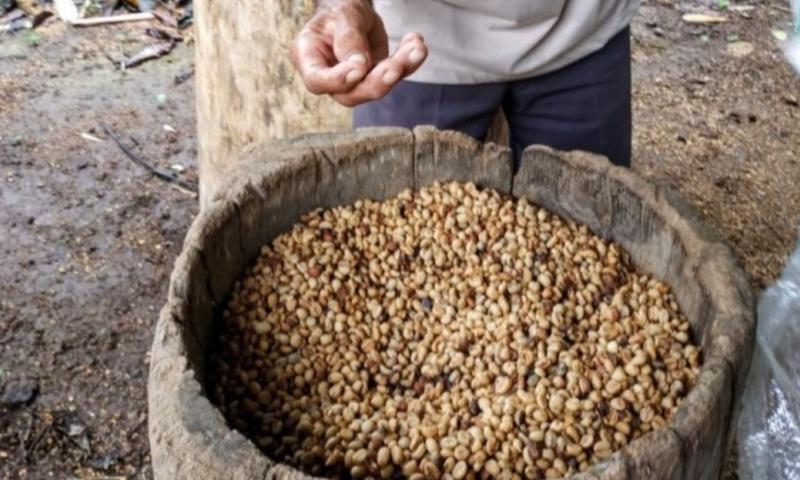 El café amazónico Witoca conquista el mercado extranjero / Foto: cortesía Witoca