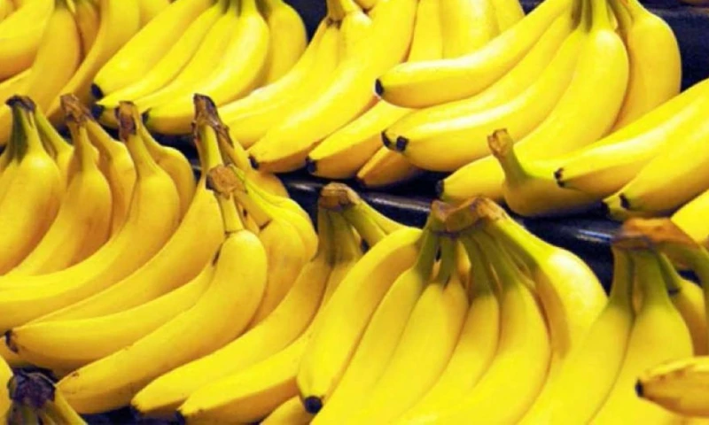 Principales noticias de Ecuador hoy - 12 de febrero de 2026 / Foto: cortesía Camae