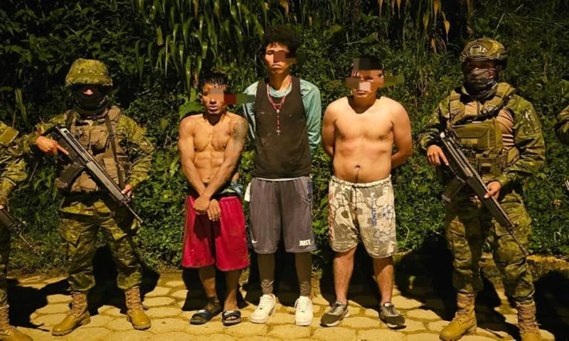 Las Fuerzas Armadas desarrolló el operativo en el sector Romerillos Bajo, en la provincia de Zamora Chinchipe / Foto: cortesía FF.AA. 