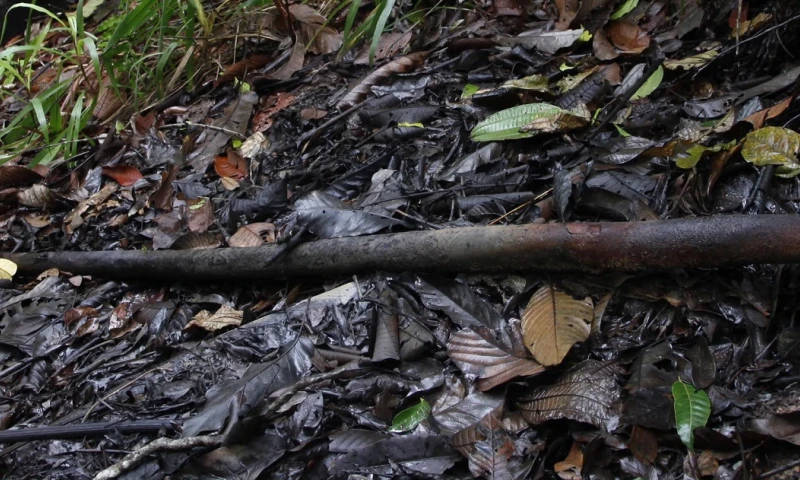 Habitantes denuncian derrame de Petroecuador en Pañacocha / Foto: El Oriente