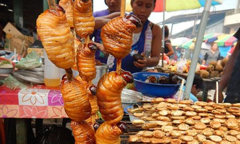 Chontacuros, un atractivo gastronómico de la Amazonía - Foto: El Tiempo