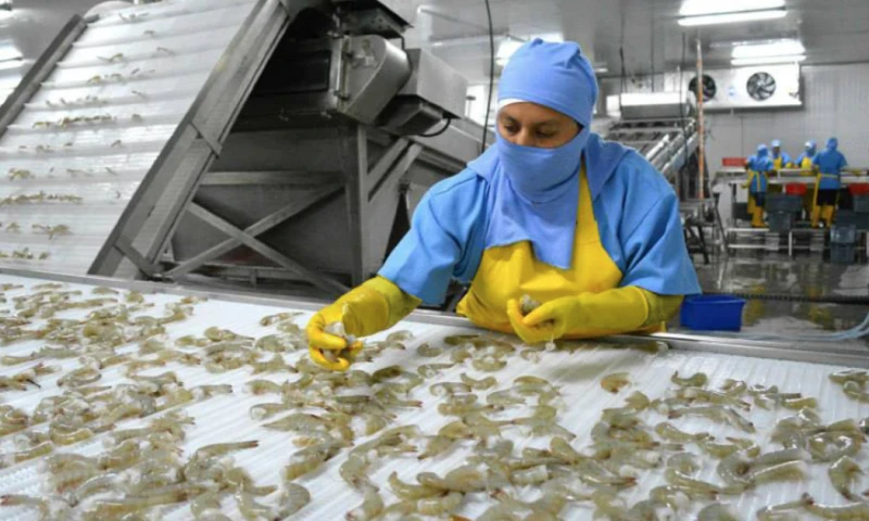 En Ecuador, los precios de las gasolinas y del diésel se ajustan a través de un sistema de bandas que permite variaciones mensuales / Foto: cortesía MAGP