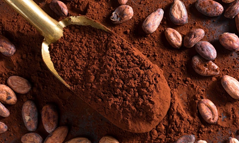 Fue utilizado por la cultura Mayo-Chinchipe hace más de 5.300 años/ Foto: cortesía 