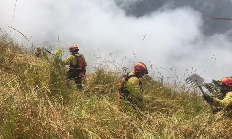 Inés Manzano, confirmó la declaratoria de emergencia nacional por crisis climática / Foto: cortesía Cuerpo de Bomberos de Cuenca