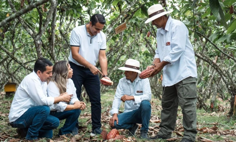 Uno de los programas centrales es Plan Cacao, que beneficia a más de 7.500 agricultores en 11 provincias / Foto: cortesía Nestlé Ecuador