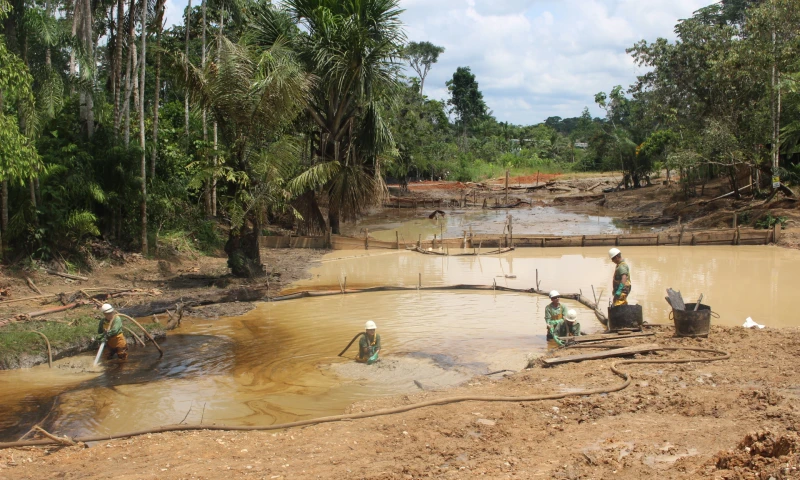 Panorámica de trabajos de remediación que realiza Amazonía Viva en comunidad Juan Montalvo. Foto: Daniela Aguilar