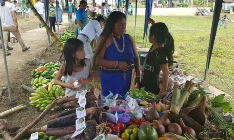 Productos autóctonos de la nacionalidad Shuar se expusieron en la feria de El Kiim. Foto: La Hora