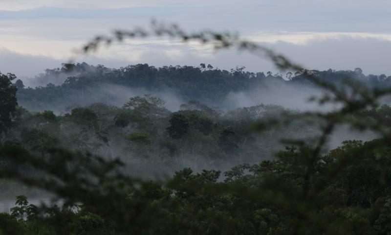 "Al país le queda el 66 % de su territorio (17 millones de hectáreas) con coberturas naturales que debemos conservar" / Foto: El Oriente 