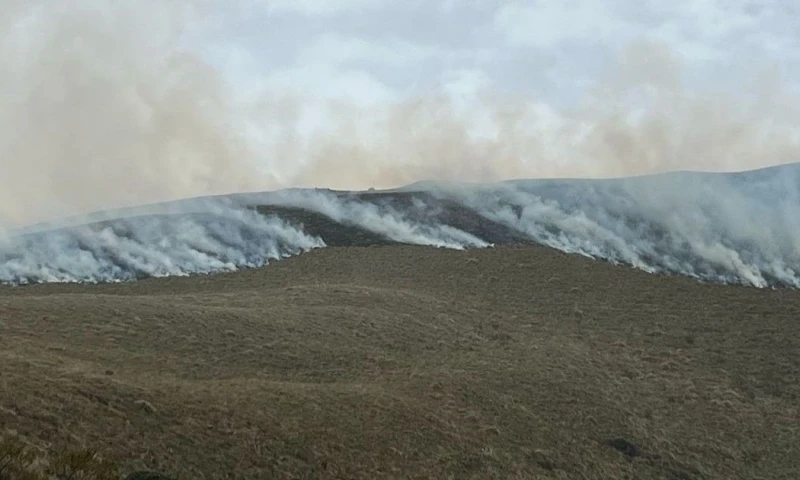 El fuego inició el lunes por causas aún desconocidas / Foto: cortesía Riesgos 