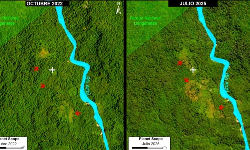 Cerca del 75 % de la superficie agropecuaria de la región corresponde a pastizales / Imagen MAAP
