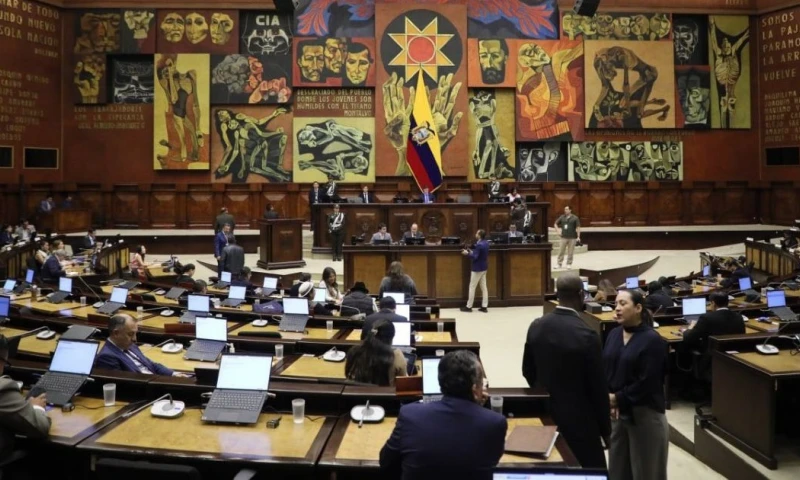 Entre las resoluciones también consta la recomendación de que el Concejo Metropolitano de Quito analice el proceso de compra de los trolebuses / Foto: cortesía Asamblea Nacional