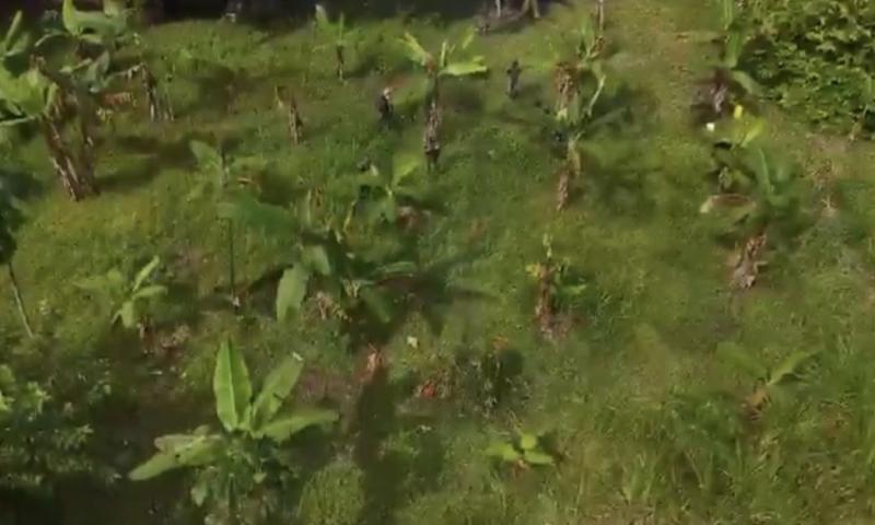 La acción se realizó durante una operación de reconocimiento y vigilancia fluvial en el río Putumayo / Foto: cortesía