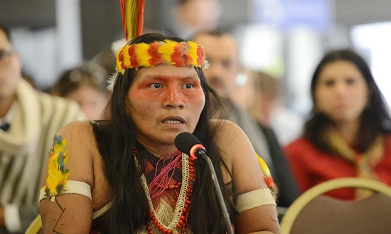 El Yasuní también es el hogar de los tagaero, taromenane y dugakaeri / Foto: cortesía 