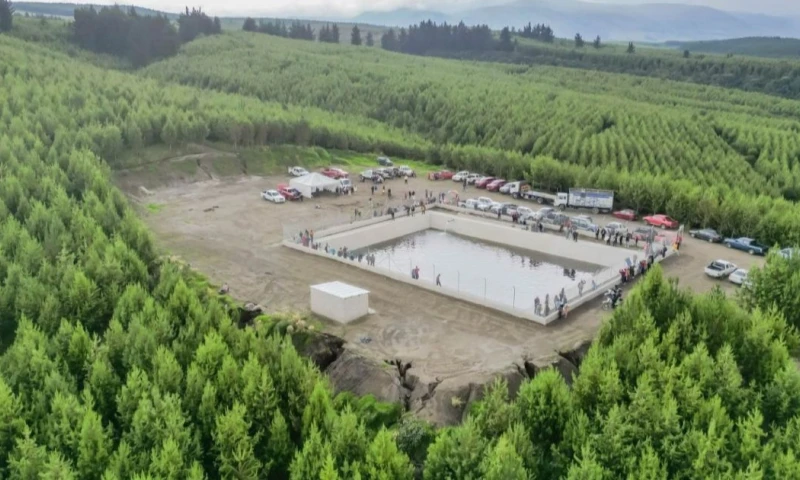 La industria forestal ecuatoriana registró exportaciones por 737,8 millones de dólares / Foto: cortesía AIMA