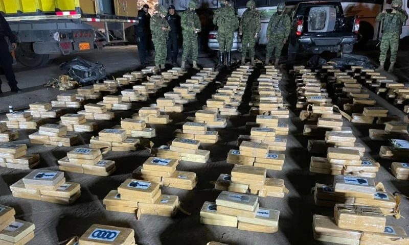La detención se llevó a cabo por parte de personal militar de la Brigada de Infantería No. 31 Andes. / Foto: Cortesía Fuerzas Armadas