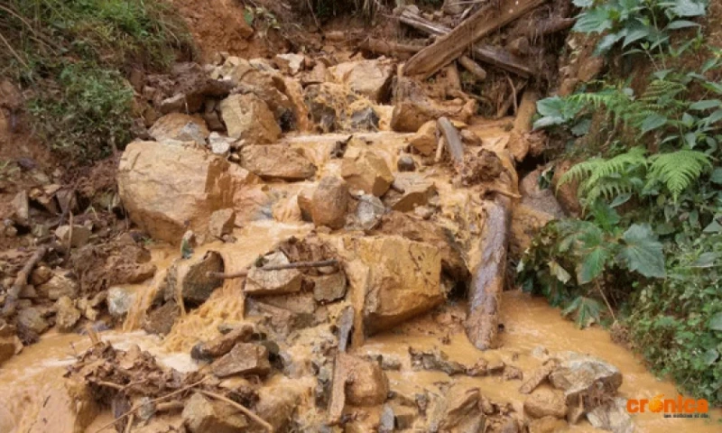 Foto: Diario Crónica