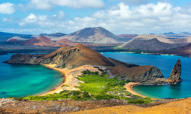 Ecuador y Costa Rica lanzan expedición por "migravía" de Coco a Galápagos / Foto: Shutterstock