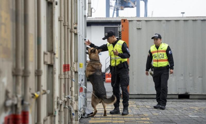 Los agentes recorrieron los contenedores del puerto y las zonas aledañas / Foto: EFE 