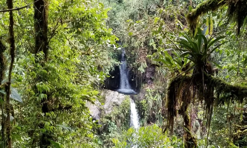El corredor Sangay-Podocarpus ya es oficial / Foto: Cortesía MAAE