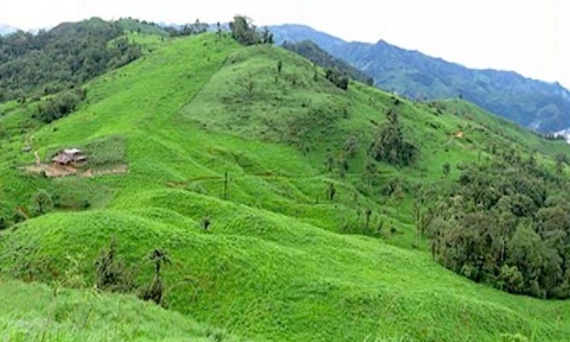 CMOC actualmente se dedica a la producción de minerales estratégicos como cobre, cobalto y molibdeno, además de fertilizantes / Foto: cortesía Revista Nueva Minería