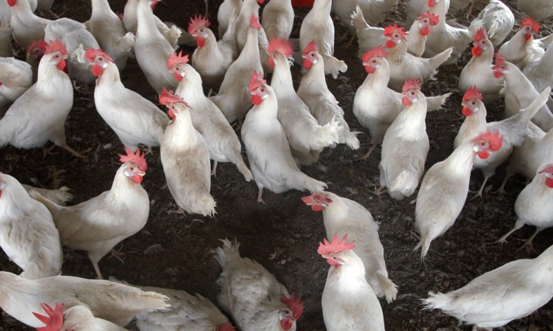 El Ministerio de Salud Pública informó en un comunicado de que este caso se detectó el pasado 7 de enero / Foto: EFE 