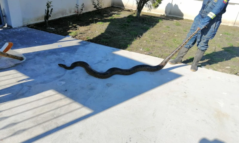 Foto: Infórmate y Punto