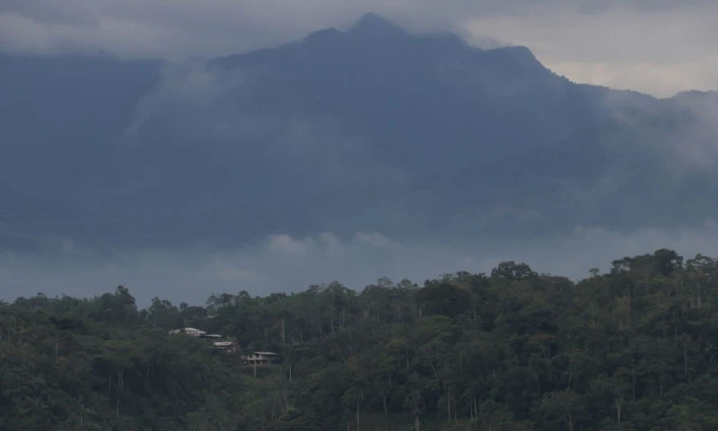 La ley también permitirá que la Policía Nacional y las Fuerzas Armadas apoyen la vigilancia de las reservas naturales / Foto: El Oriente