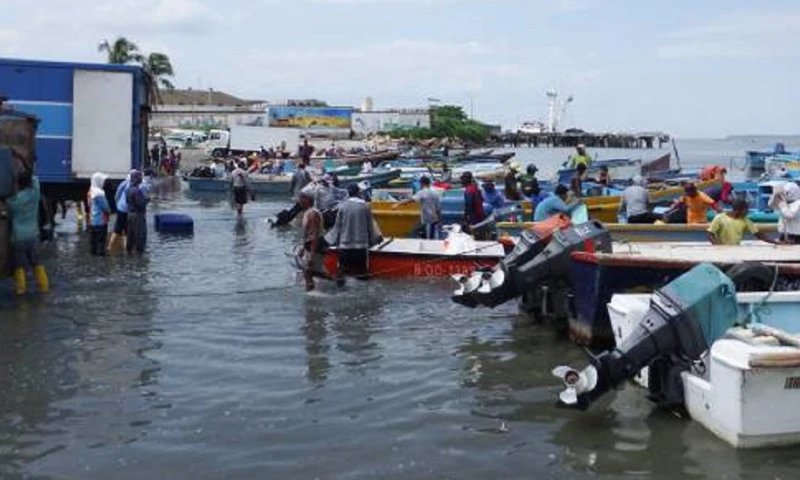 Eficiencia energética en la pesca artesanal / Foto: IIGE