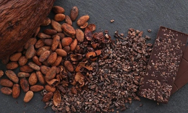 Expertos sugieren que Ecuador diversifique sus mercados de exportación y mejore la calidad del cacao / Foto: cortesía
