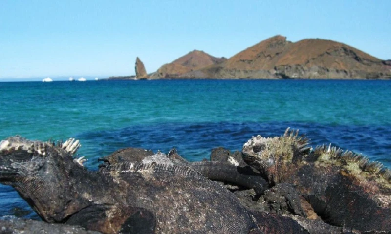 Principales noticias de Ecuador hoy - 30 de septiembre de 2025 / Foto: cortesía MAE