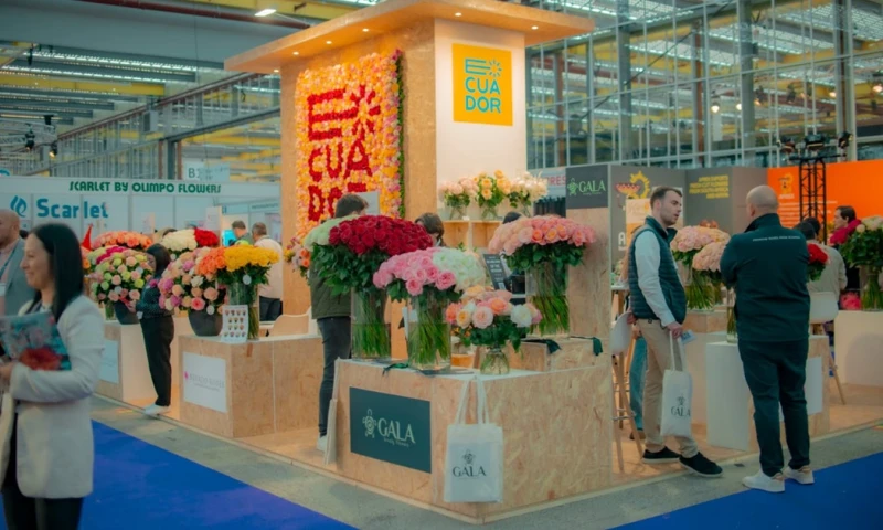 La IFTF 2024 se llevó a cabo en Ámsterdam del 5 al 7 de noviembre / Foto: cortesía Ministerio de Producción