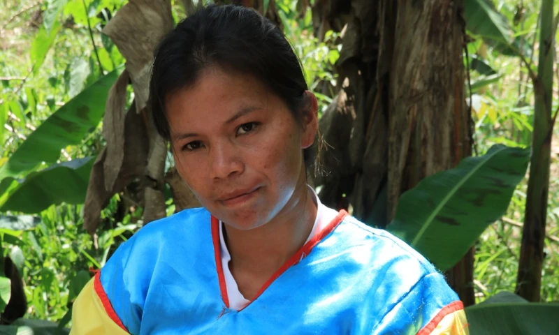 La yuca emerge como el cultivo central en las chacras / Foto: El Oriente