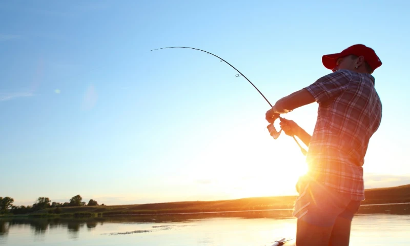 WWF lanza proyecto de pesca sostenible, digital y responsable / Foto: Shutterstock