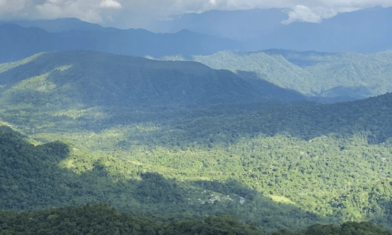 Solaris indicó que FICSH "es la principal autoridad y la mayor organización indígena shuar legalmente establecida / Foto: cortesía 