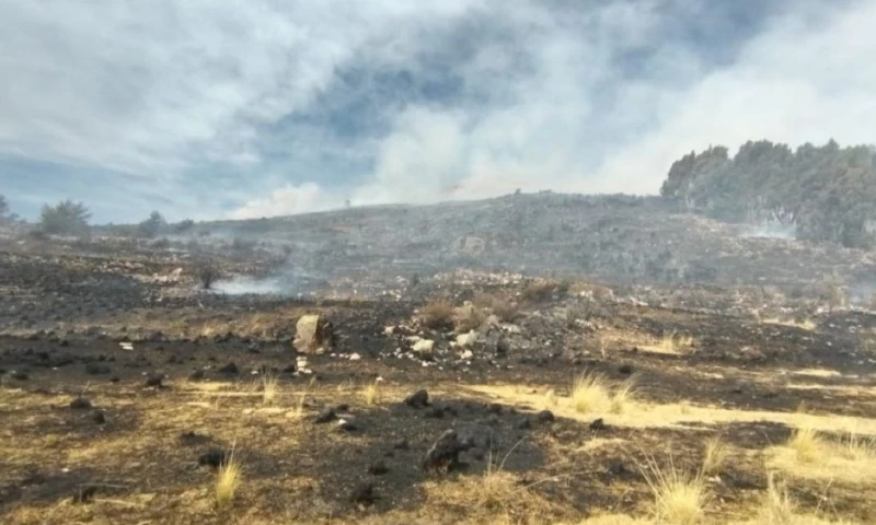 El lunes y el martes últimos también comenzaron incendios forestales en el norte del país, en las localidades de Casitas y San Pablo / Foto: cortesía COEN - INDECI