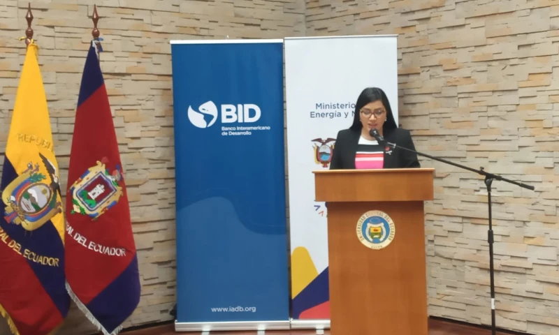 La iniciativa, que se desarrolla con el apoyo del BID, busca impulsar un modelo energético y productivo más sostenible y sustentable / Foto: cortesía ministerio de Electricidad 