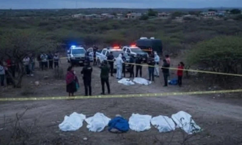 Agentes de la Policía y de Criminalística buscan determinar si los cuerpos corresponden a seis jóvenes que fueron reportados como desaparecidos / Foto: cortesía