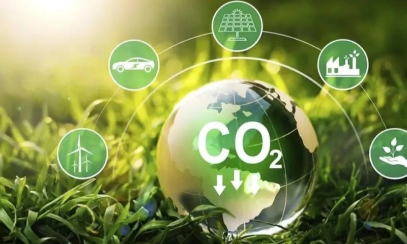 La falta de participación resta herramientas clave en la lucha contra el cambio climático / Foto: cortesía 