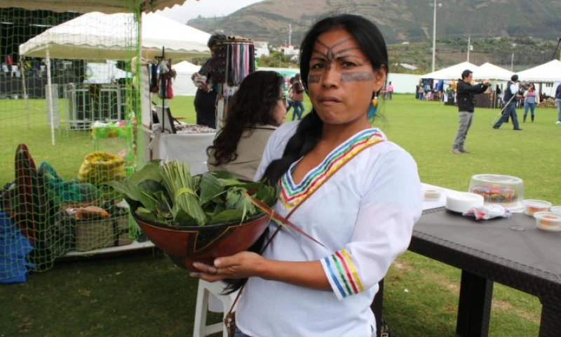 Amazónica. Una mujer shuar exhibe su gastronomía. Foto: Expreso