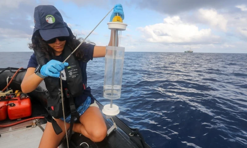 El trabajo de Sangolqui se enfoca en una de las aves más emblemáticas y amenazadas del archipiélago: el petrel de Galápagos / Foto: cortesía Qué pasa media