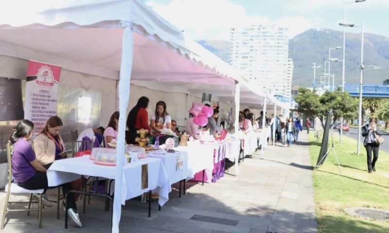 La tasa de negocios establecida descendió en 13,26 % con respecto al año anterior / Foto: cortesía Conquito