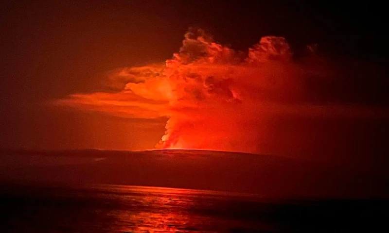 La erupción de La Cumbre comenzó el sábado 2 de marzo, a las 23:50 hora local / Foto: cortesía IG