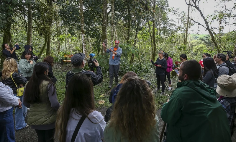El Chocó Andino es una reserva de la biosfera situada dentro del área metropolitana de Quito/ Foto: cortesía EFE