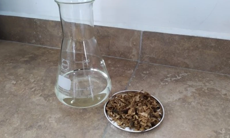 Cómo convertir residuos agrícolas en combustibles / Foto: IIGE